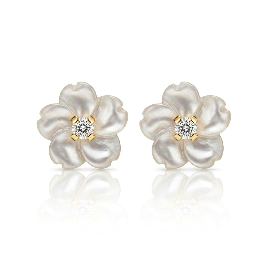Camelia Blanca