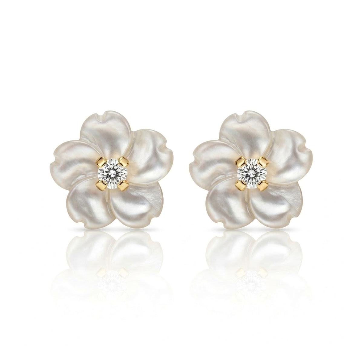 Camelia Blanca